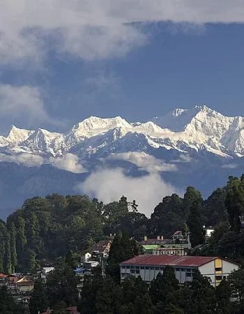 Best of Darjeeling Hills