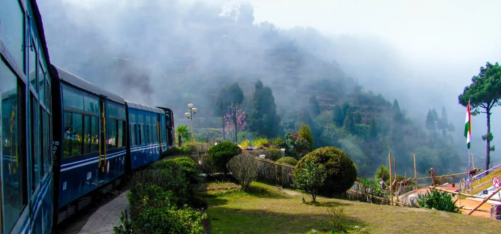 Best of Darjeeling Hills