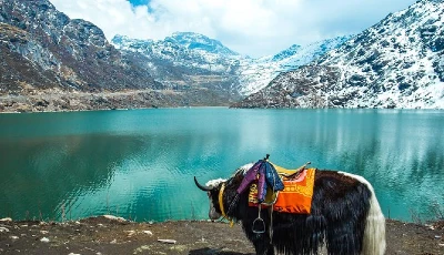 North Sikkim, Lachen / Lachung Car Rent & Tour Package