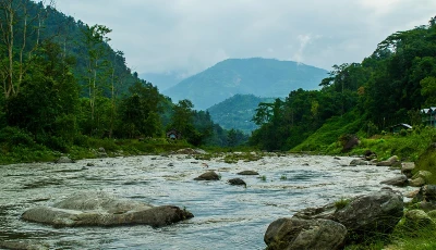 Pelling Car Rent & Tour Package